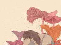 苏州菁若繁花贸易有限公司