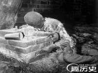 苏州菁若繁花贸易有限公司